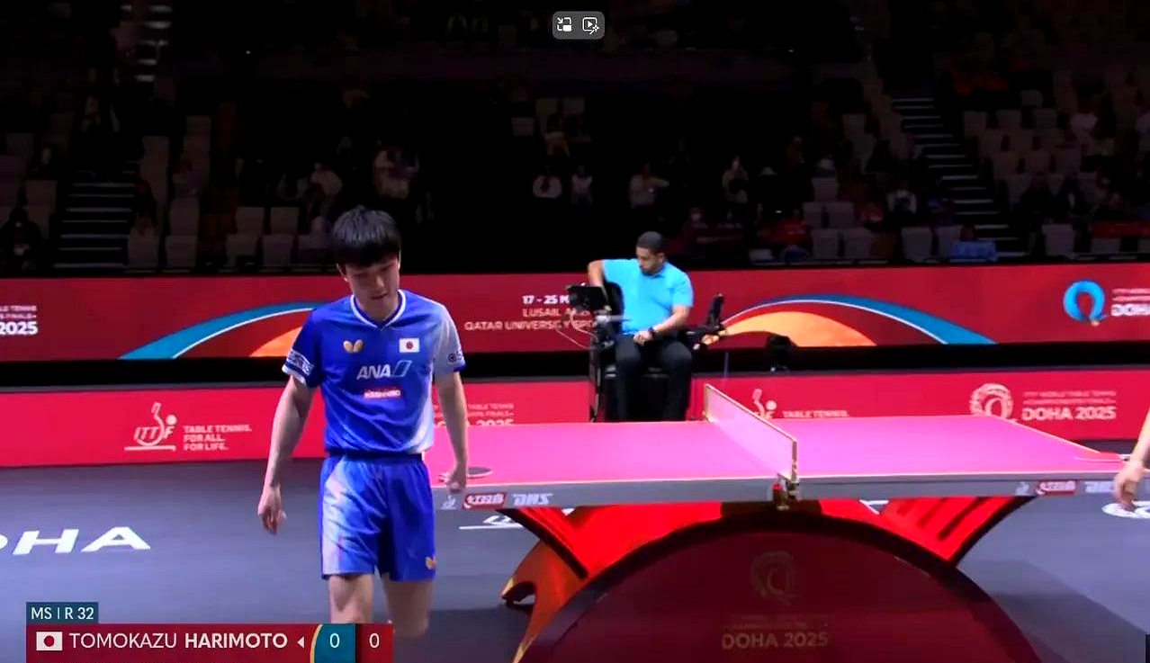 关于波兰乒乓球队轻取英国乒乓球队，张本智和统治全场的信息