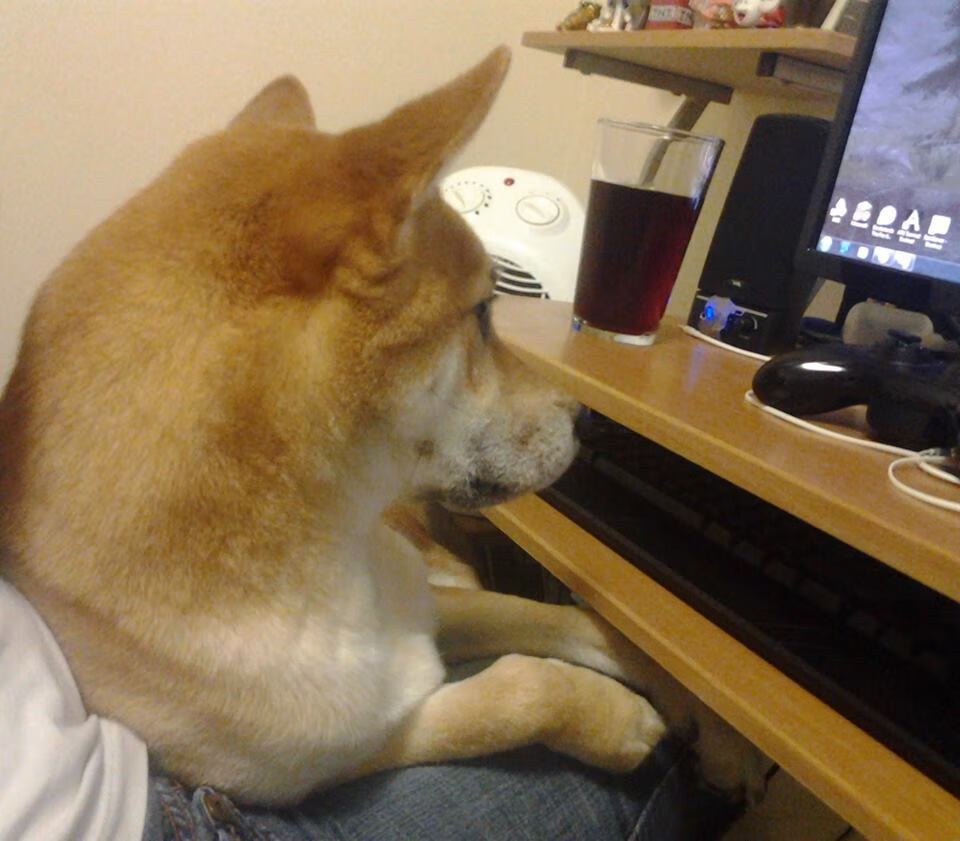 开云体育-踏着乔丹的王朝烙印，杜兰特在联合中心的最完美一战