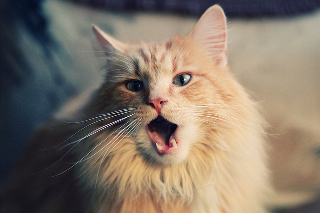 开云体育APP下载-35分遗珠逆袭 与 21岁风暴的对话—如果詹姆斯‘空降’天王山