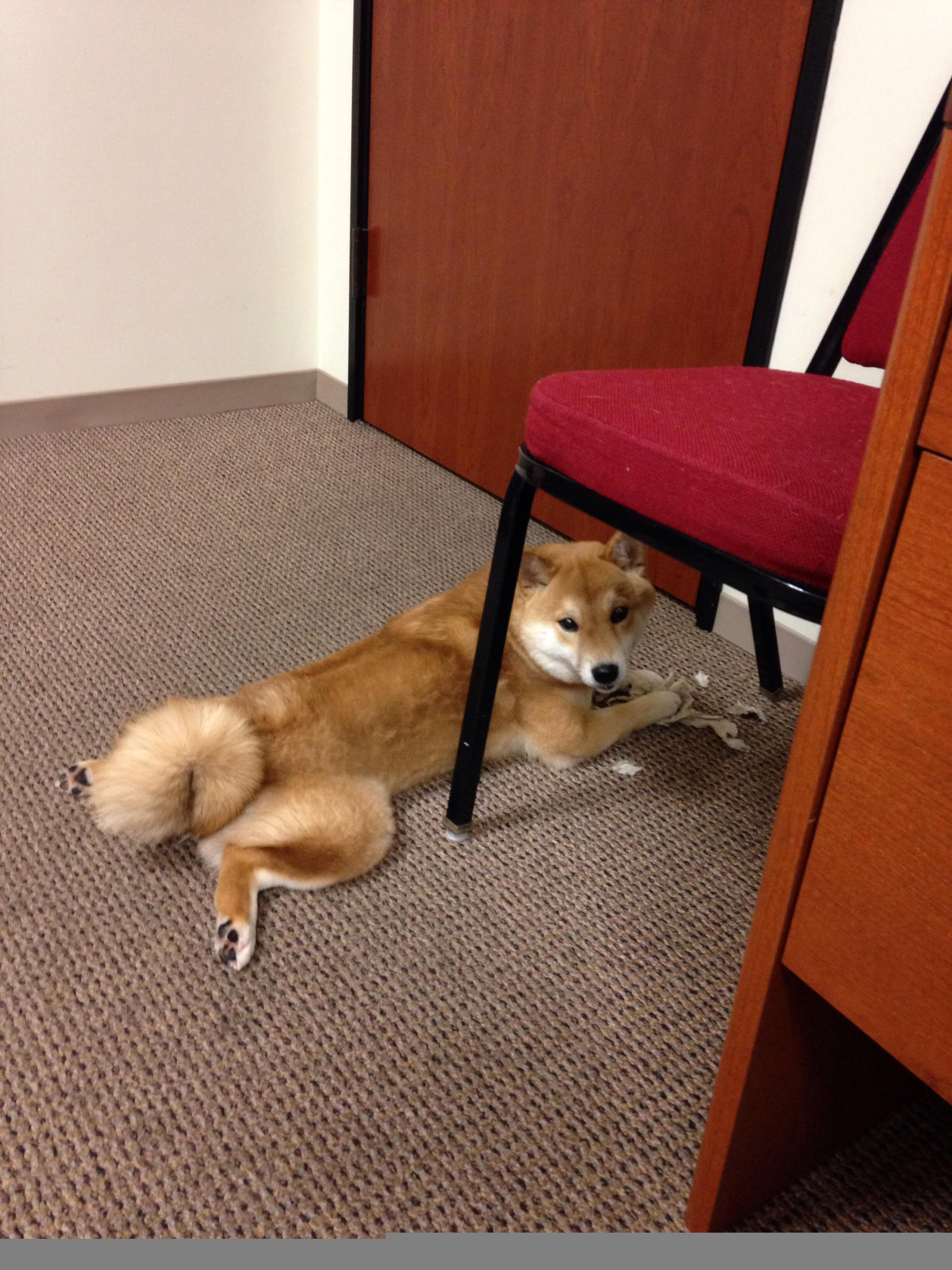 开云体育APP下载-非陆雄狮怒吼罗马城！金玟哉双响导演奇迹逆转，拉齐奥主场沦陷记