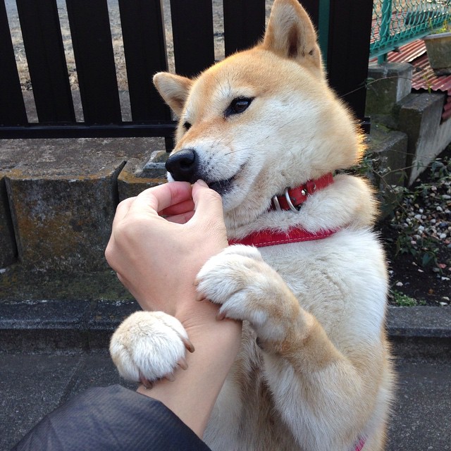 新生代旋风，从美洲杯绿茵到欧冠之夜，看旧秩序如何崩塌